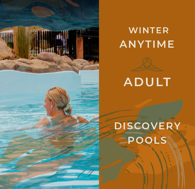 Discovery Pools Adult Anytime - Winter 24