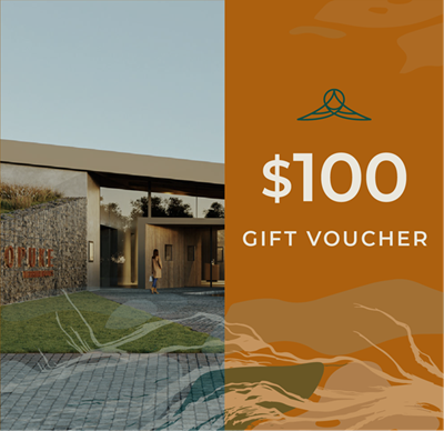 $100 Gift Voucher